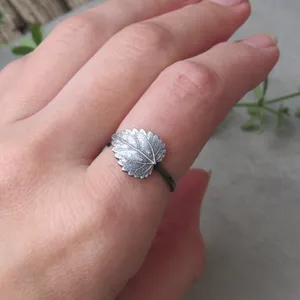 May include: A silver ring with a leaf design. The leaf is detailed and textured, and the ring is simple and delicate.