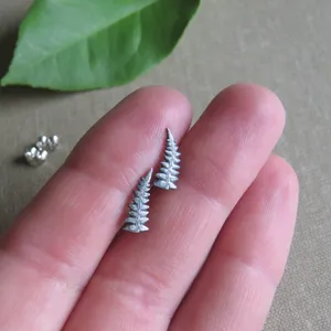 May include: A pair of silver fern earrings. The earrings are small and delicate, and they feature a detailed fern design.